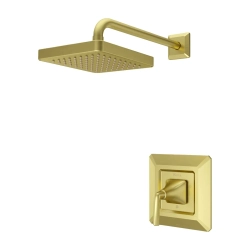 Llave de baño (trim) con regadera dorado modelo park avenue pfister