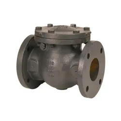 Valvula de retencion de brida 6